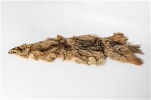 Image description is not available for 2015.7.1